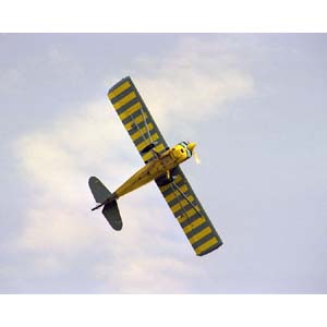 Bellanca Decathlon